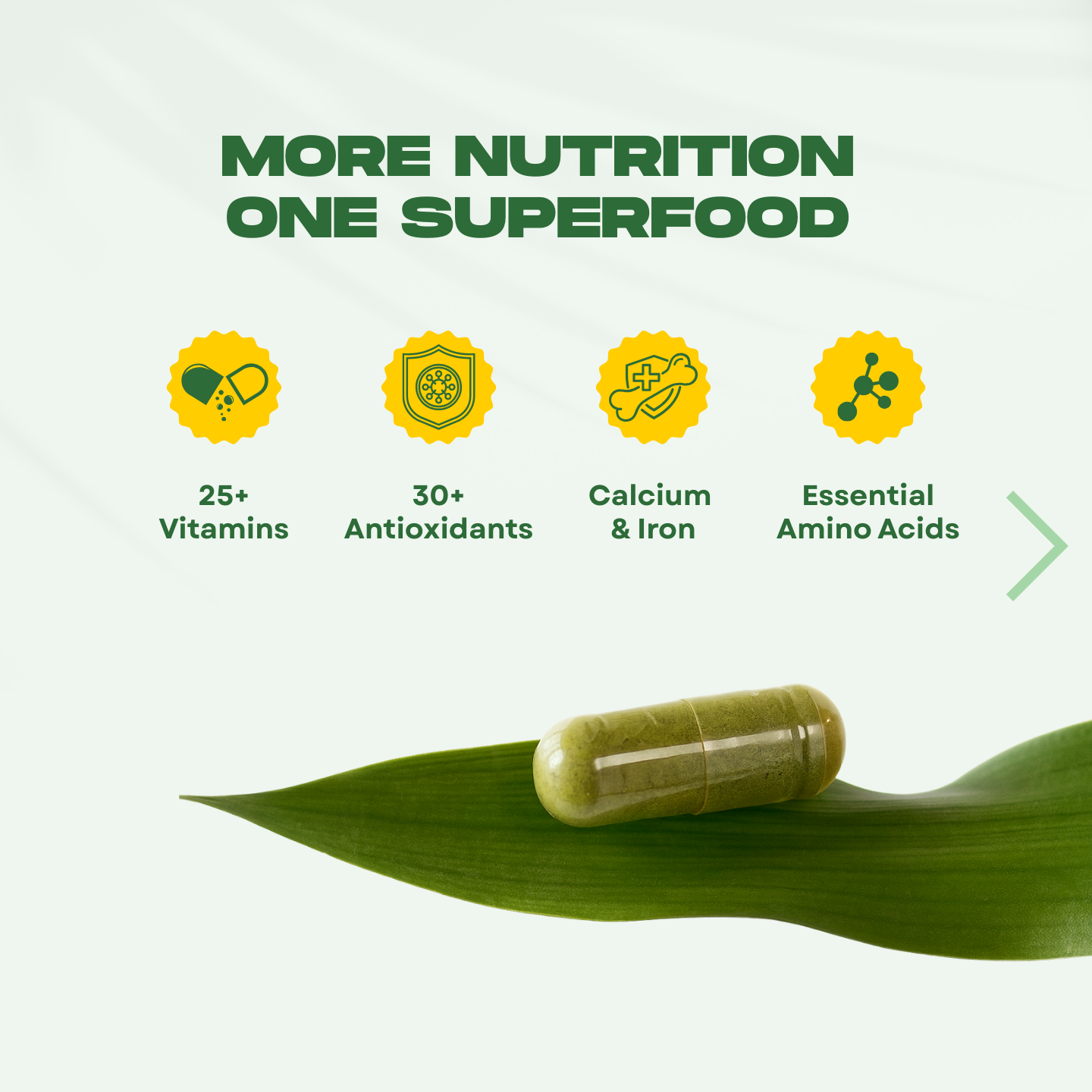 Vitala Moringa