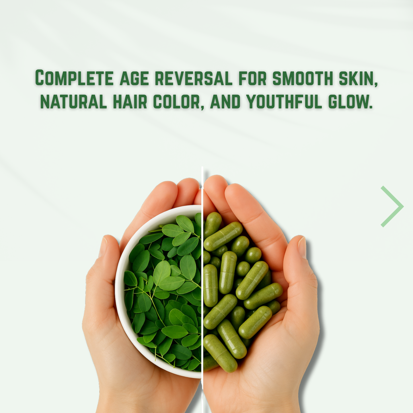 Vitala Moringa